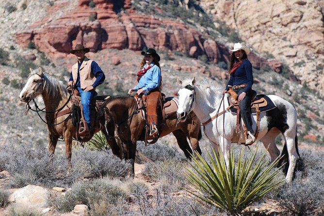Las Vegas Horseback Ride with Meal - What You’ll Do During the 1.5-Hour Ride Through Canyon Views