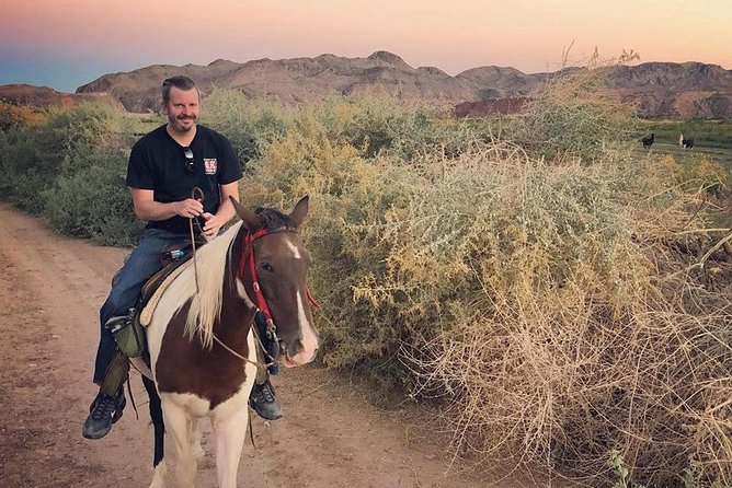 Las Vegas Horseback Ride with Meal - Price and Value: Does $129.99 Make Sense?