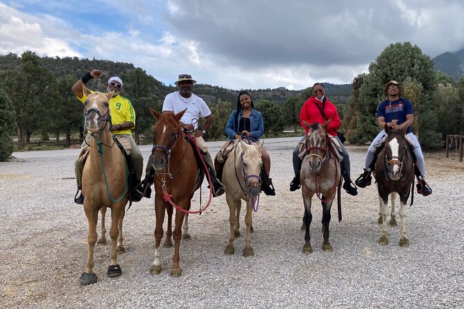Las Vegas Horseback Riding Adventure - Getting on the right horse: the pre-ride lesson that prevents stress