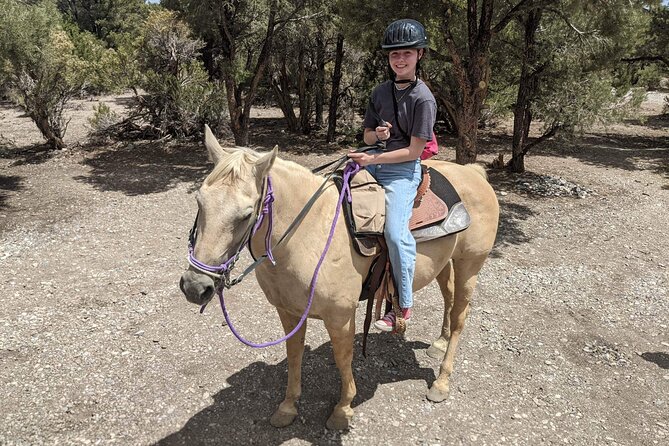 Las Vegas Horseback Riding Adventure - The trail ride: rolling hills and big views without the cliff fear