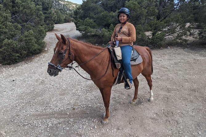 Las Vegas Horseback Riding Adventure - What’s included for $85: equipment, helmets, and safety basics