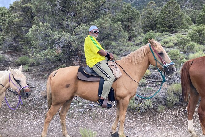 Las Vegas Horseback Riding Adventure - The transportation reality: read the fine print before you Uber