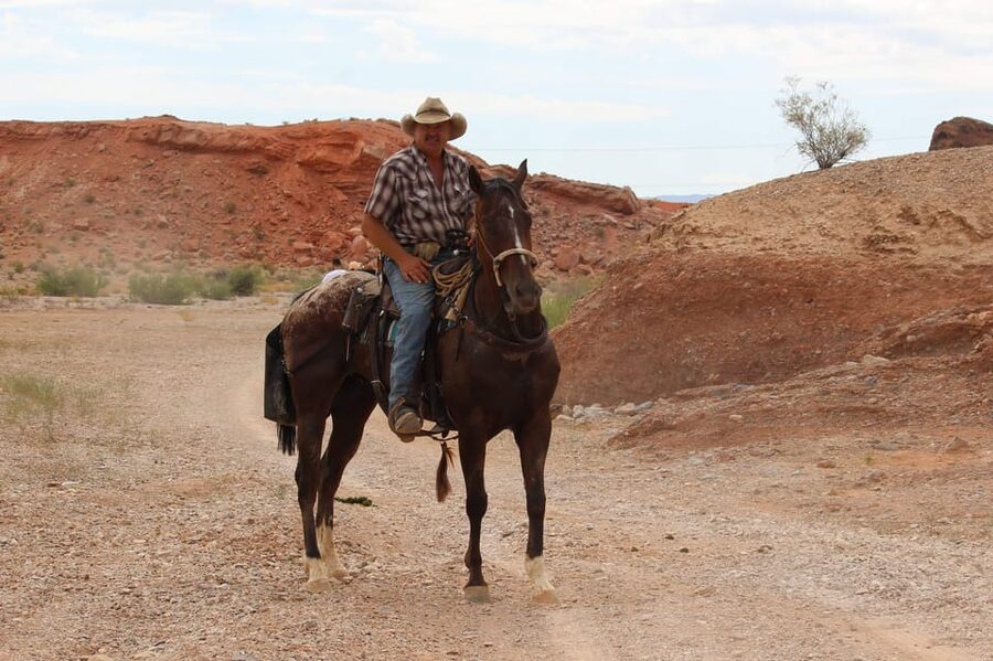 Las Vegas: Horseback Riding Tour with Lunch - What to Bring (and Why It Matters in the Desert)