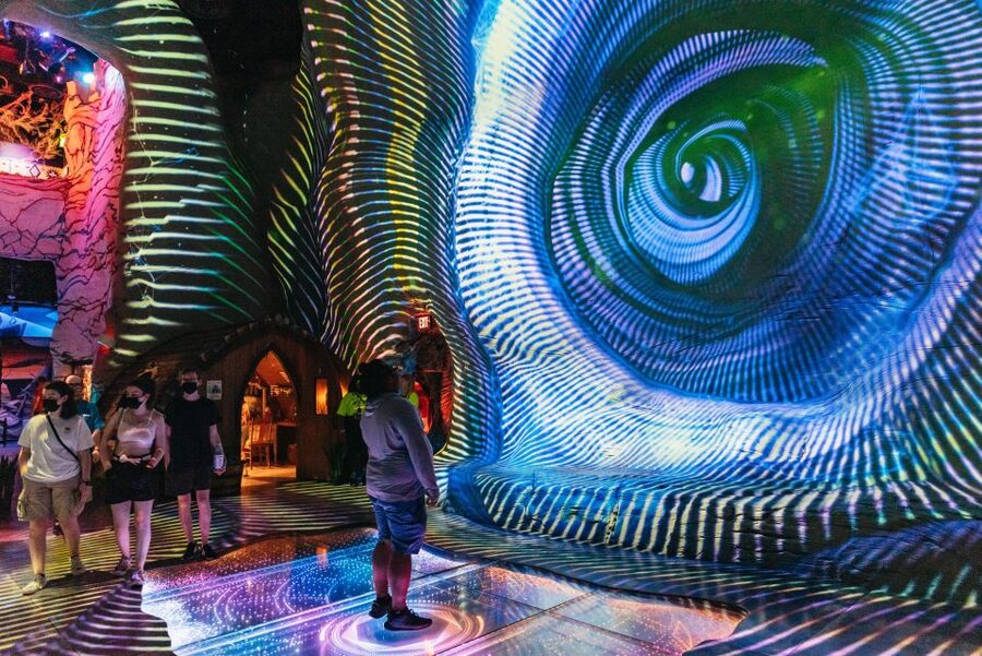 Las Vegas: Meow Wolf Omega Mart Ticket - How long to plan: 1 day, but you control the pace