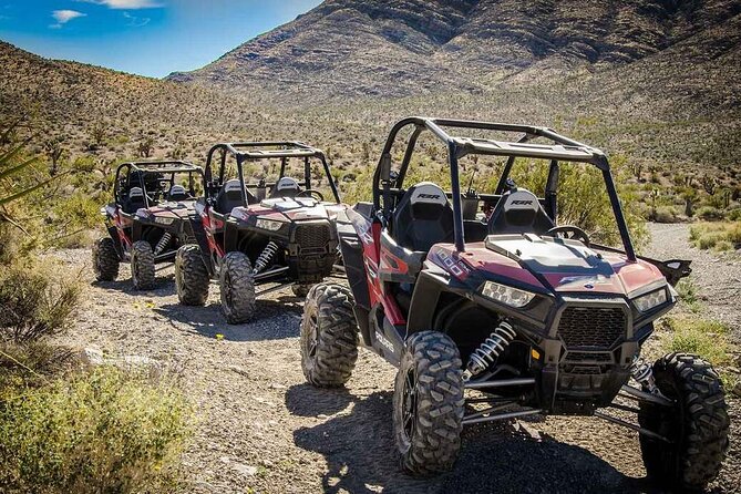 Las Vegas Mini Desert RZR Adventure - Key Things That Make This RZR Adventure Worth It
