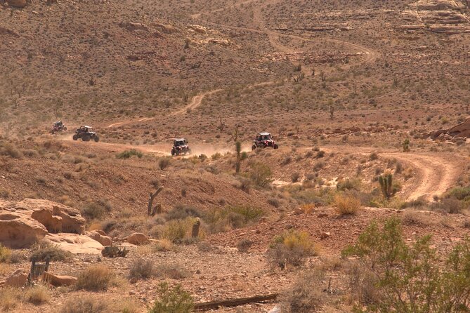 Las Vegas Mini Desert RZR Adventure - The Polaris RZR Moment: What the 75 Minutes Feels Like