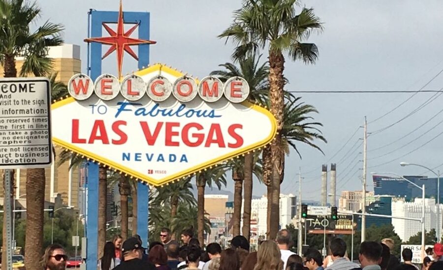 Las Vegas: Mojave Desert, 7 Magic Mountains, Vegas Sign Tour - What to Expect on the Ground: Practical Tips for a Smooth Visit