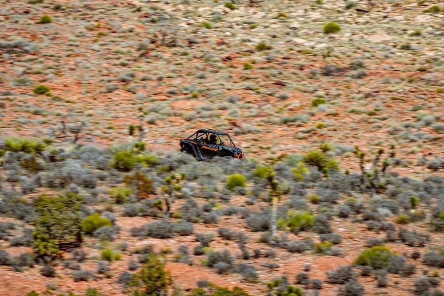 Las Vegas Mojave Off Road Adventure |Guided Tour-Let's Ride! - Price and Value: Is $449 a Good Deal?