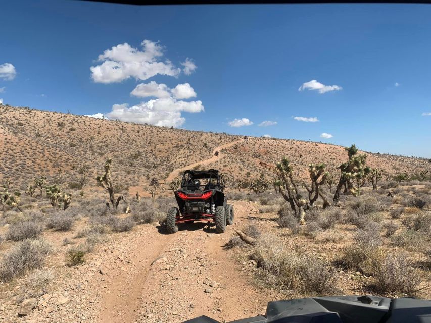 Las Vegas Mojave Off Road Adventure |Guided Tour-Let's Ride! - What You’ll See: Joshua Trees, Seasonal Flowers, and Wildlife Chances