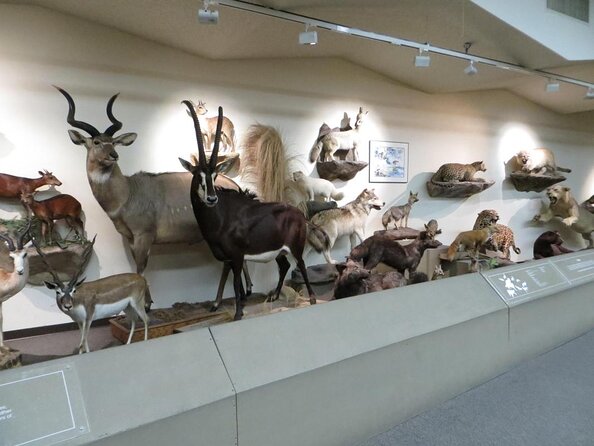 Las Vegas Natural History Museum Admission Ticket - Key takeaways before you go