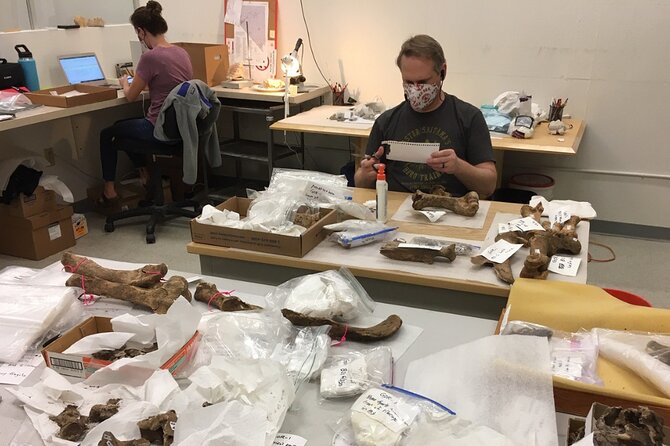 Las Vegas Natural History Museum Admission Ticket - Inside the museum: how to tackle the exhibits without feeling rushed