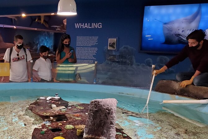 Las Vegas Natural History Museum Admission Ticket - The shark tank and dinosaur moments: what you’ll actually remember