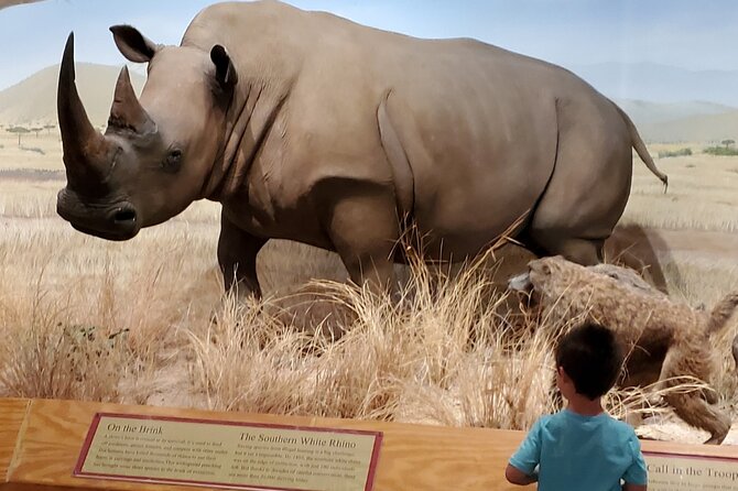 Las Vegas Natural History Museum Admission Ticket - Animal-adjacent fun vs adult boredom: who this museum suits best