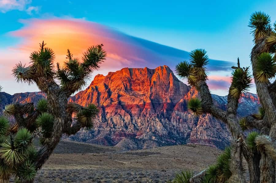 Las Vegas: Private Red Rock Canyon Guided Driving Adventure - Key highlights at a glance