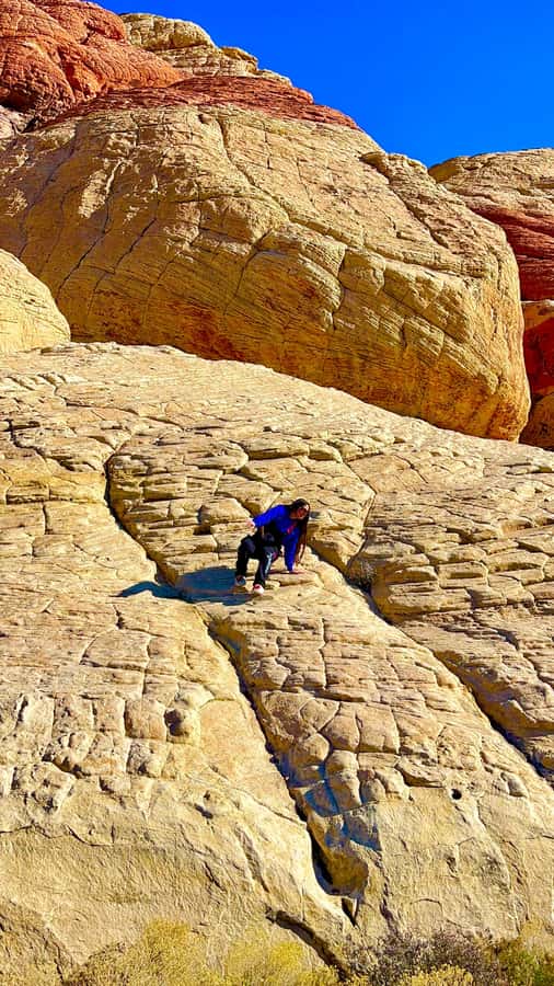 Las Vegas: Private Red Rock Canyon Guided Driving Adventure - Stop-by-stop: photo moments and scenic driving in Red Rock