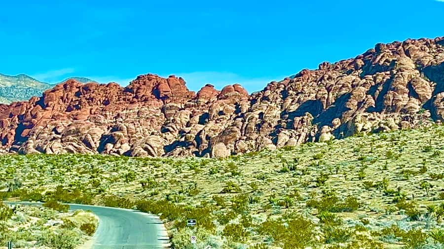 Las Vegas: Private Red Rock Canyon Guided Driving Adventure - Price and value: $117 per person with transfers and a private guide