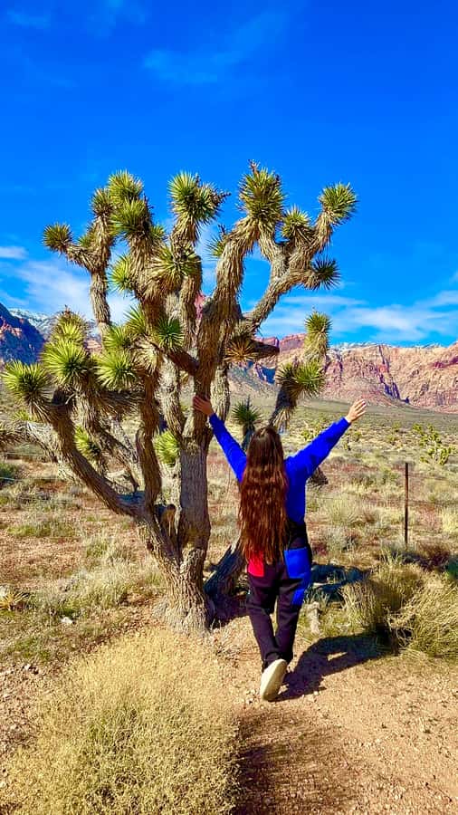 Las Vegas: Private Red Rock Canyon Guided Driving Adventure - Hotel pickup, vehicle comfort, and how the 2 hours really feel