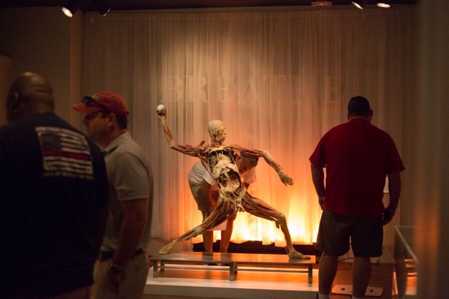 Las Vegas: REAL BODIES at Horseshoe Las Vegas Entry Ticket - Key highlights worth centering your visit
