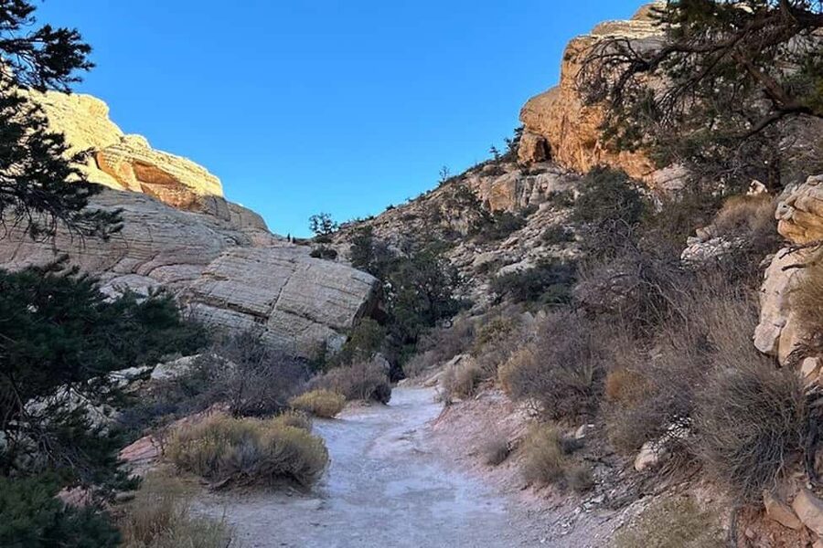 Las Vegas: Red Rock Canyon Guided Hike with Pickup - Who This Tour Fits (and Who Should Skip It)