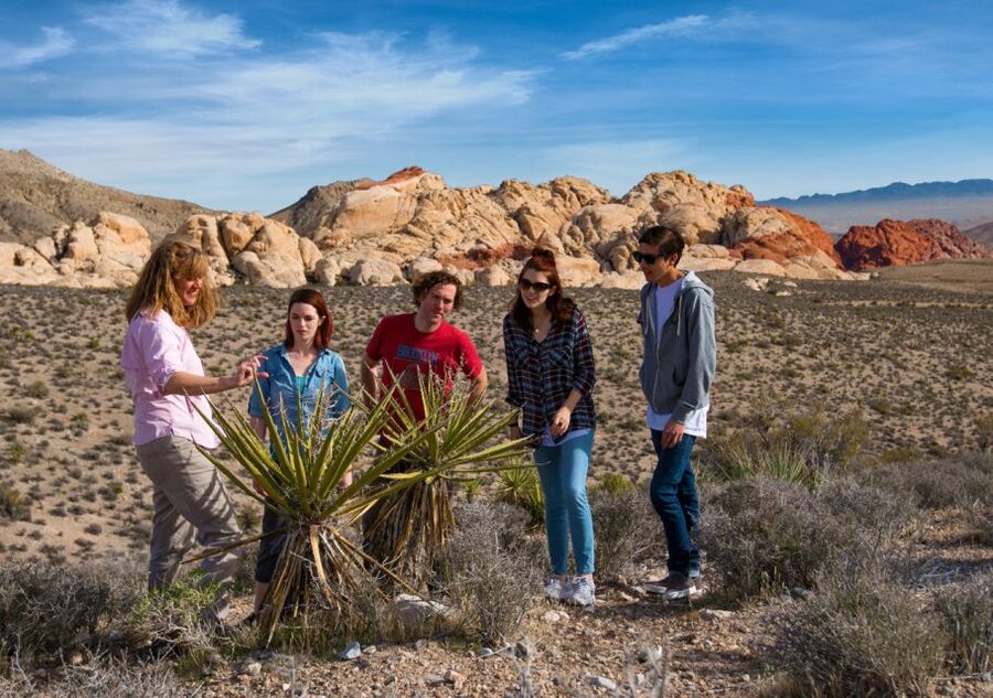 Las Vegas: Red Rock Canyon Tour & Rocky Gap 4x4 Adventure - Key points before you go