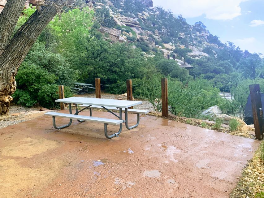 Las Vegas: Red Rock Canyon & Whimsical Cactus Joe's + Lunch - Meet your guide: why Susan’s approach makes the day click