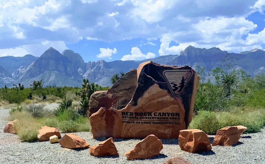 Las Vegas: Red Rock Canyon & Whimsical Cactus Joe's + Lunch - Red Rock Canyon: the “get out of Vegas” payoff in just a few hours