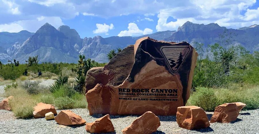 Las Vegas: Red Rock Canyon & Whimsical Cactus Joe's + Lunch - The lunch plan: picnic food, desert timing, and why it matters