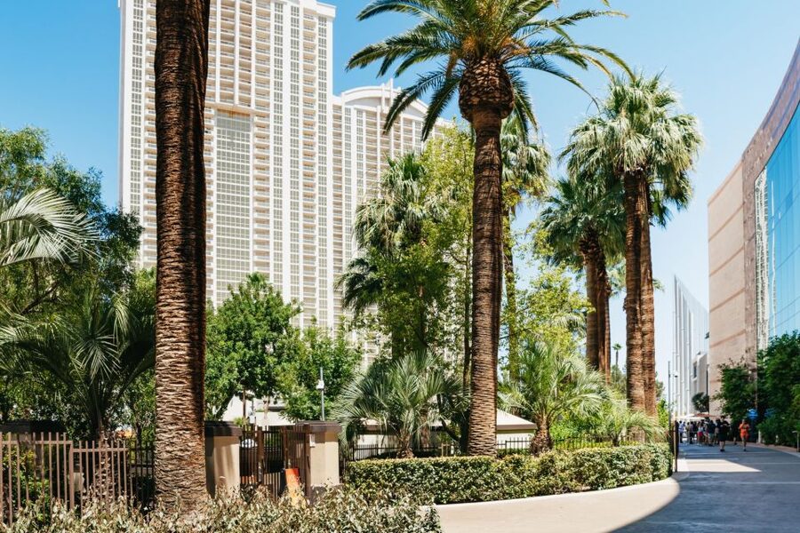 Las Vegas Strip: 3-Stop Pool Party Crawl with Party Bus - Price and value: why $99 can be a smart move