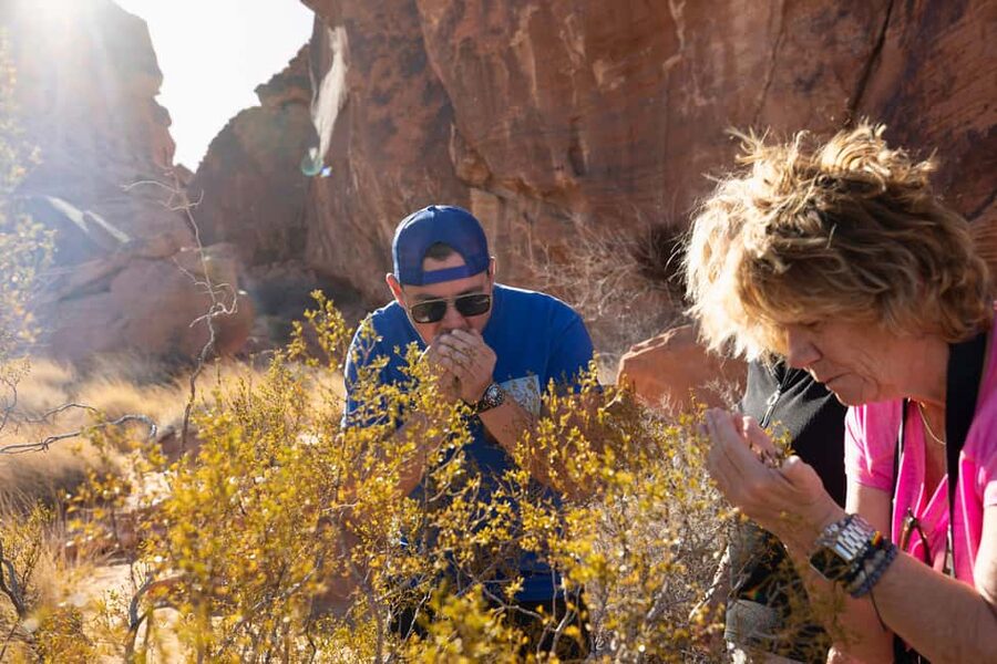 Las Vegas: Valley of Fire and Red Rock Canyon Day Trip - Sunrise Valley of Fire plus Red Rock Canyon: the big idea