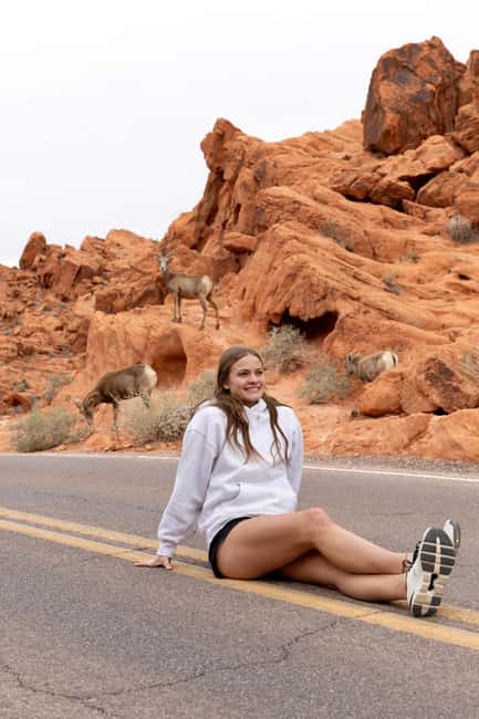 Las Vegas: Valley of Fire and Red Rock Canyon Day Trip - Valley of Fire at sunrise: where the colors start telling stories
