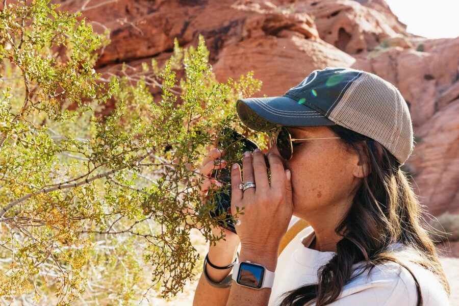 Las Vegas: Valley of Fire Guided Hike with Drinks and Snacks - Price and value: is $129 worth it?