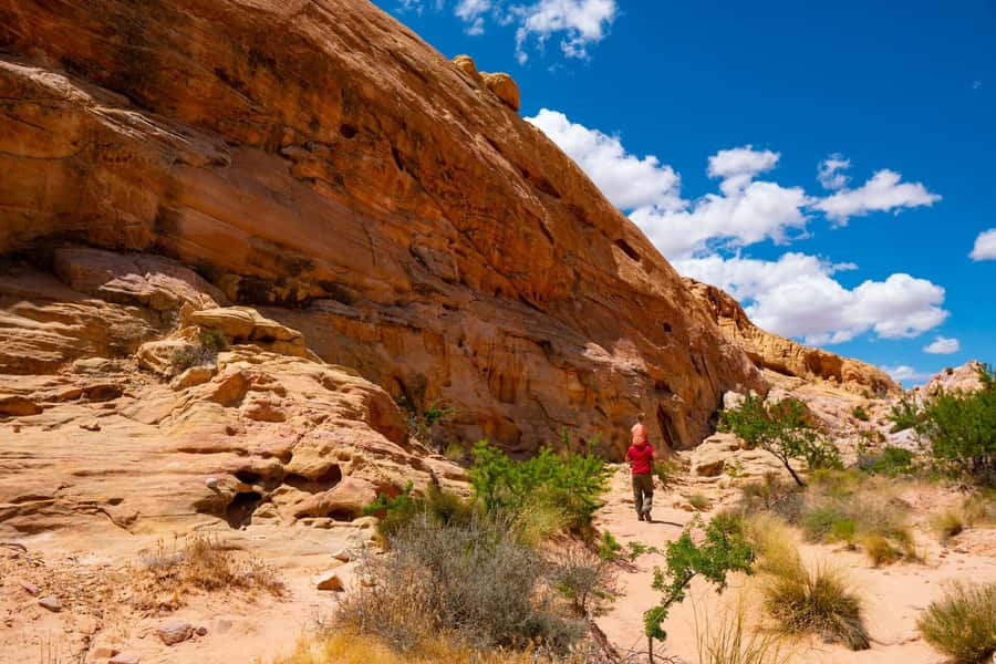 Las Vegas: Valley of Fire Half-Day Guided Hike with Pickup - Key highlights to know before you go