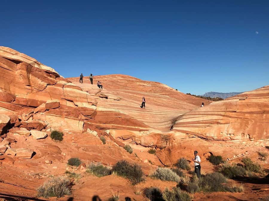Las Vegas: Valley of Fire Half-Day Guided Hike with Pickup - Getting there: pickup timing and how the small group changes the day