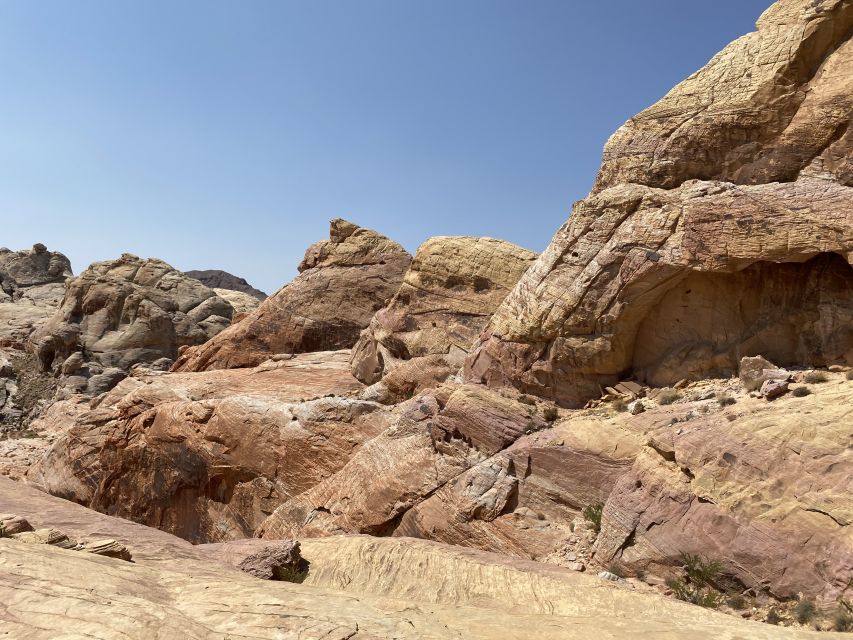 Las Vegas: Valley Of Fire State Park Tour - Desert Plants and Cacti: What You’ll Actually See Between Photos