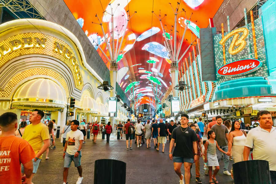 Las Vegas: Vegas After Dark Night Tour with Free Drink (21+) - Why a 21+ after-dark bus beats a daytime Strip ride