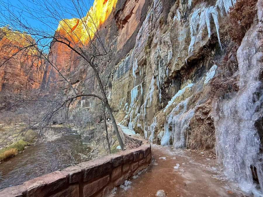 Las Vegas: Zion National Park Group Tour with Lunch - A One-Day Run from Las Vegas to Zion’s Canyon Views