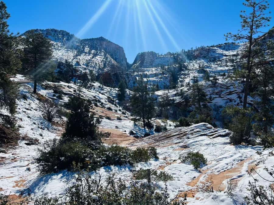 Las Vegas: Zion National Park Group Tour with Lunch - Scenic Detours and the Zion-Mount Carmel Tunnel Experience