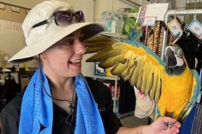 Lion Habitat Ranch Admission Ticket in Las Vegas - Keeper-led talks and animal demos: the part that makes it feel educational