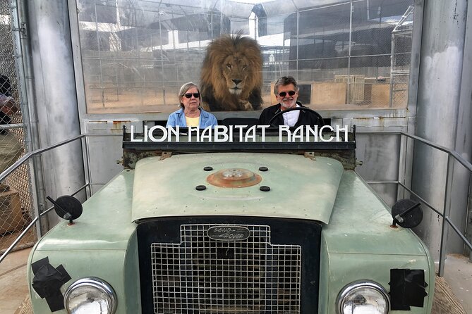 Lion Habitat Ranch Admission Ticket in Las Vegas - Photo moments that land: Rocky, Ozzie, George, and feeding time