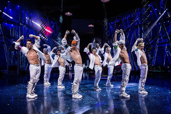 Michael Jackson ONE by Cirque du Soleil® VIP Experience - Price and value: is $379.62 worth it for VIP?
