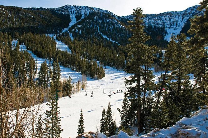 Mount Charleston Tour - A Mountain Reset Right Outside Las Vegas