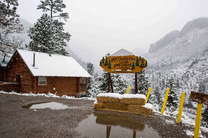 Mount Charleston Tour from Las Vegas - A quick ride out of Vegas: pickup, timing, and drop-off