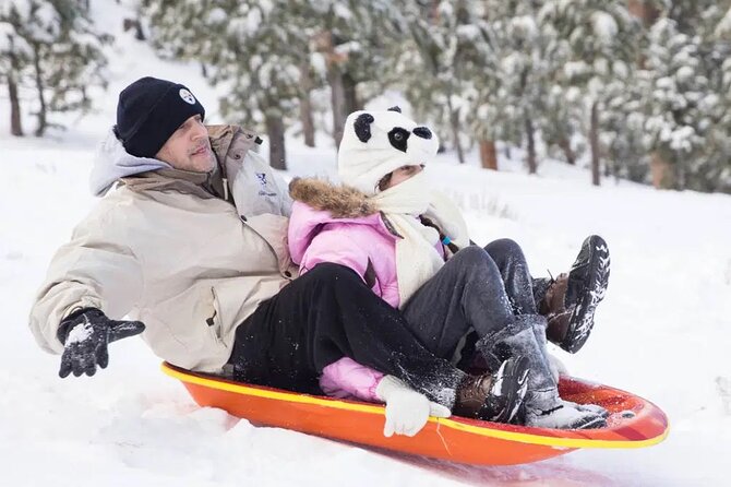 Mount Charleston Tour - Price and Value: What $109 Buys You