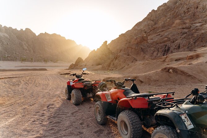 Nelson Hills Desert ATV Tour From Las Vegas - Nelson Hills: the Mojave ride you can fit into a Vegas day