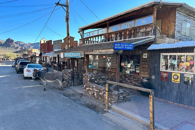 Oatman Mining Camp, Burros, Scenic RT 66 Direct From Las Vegas - Key things I’d watch for before you go