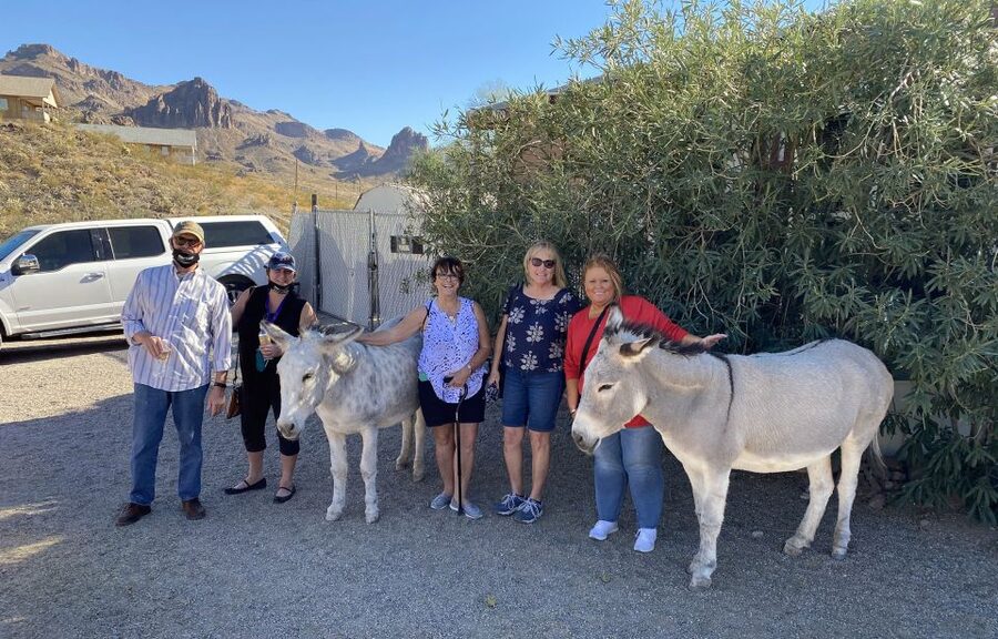 Oatman Mining Village: Burros/Route 66 Scenic Mountain Tour - The Sidewinder drive: 191 curves and real mountain viewpoints