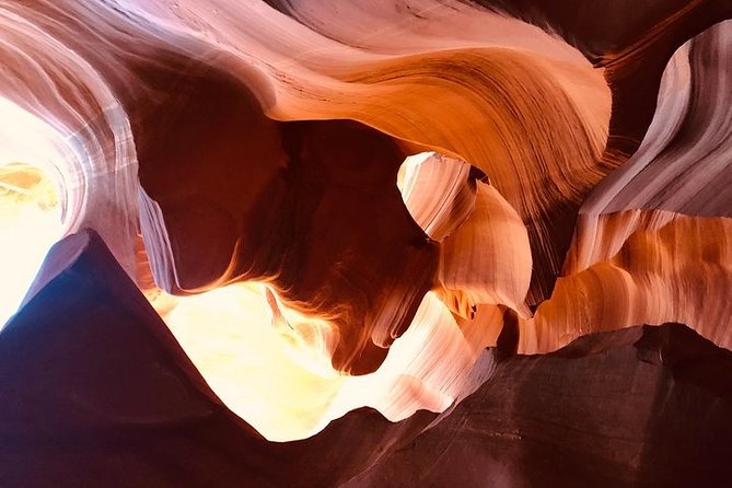 One day Grand Canyon Antelope Horseshoe :Stargazing Daily tour - South Rim photo stop: quick, but worth it