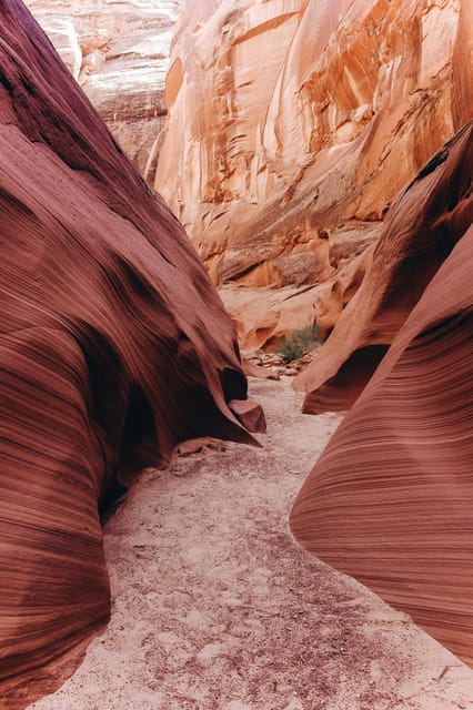 Phoenix: Grand & Antelope Canyon 2-Day Tour & Flight Option - Price and pacing: what you’re really paying for