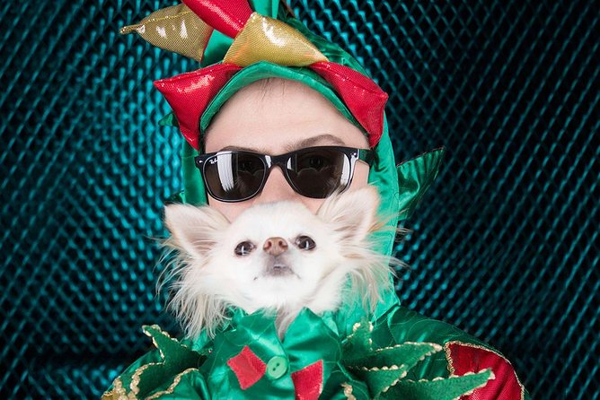 Piff the Magic Dragon at the Flamingo Las Vegas - Tickets, check-in, and the bar: small details that reduce stress