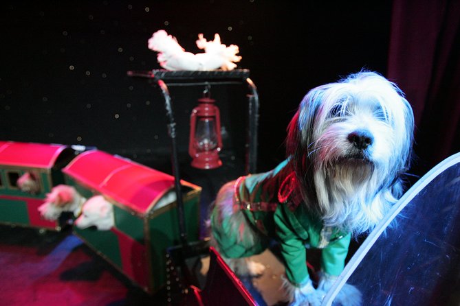 Popovich Comedy Pet Theater at Planet Hollywood Resort and Casino - Stepping Into the V Theater at Planet Hollywood